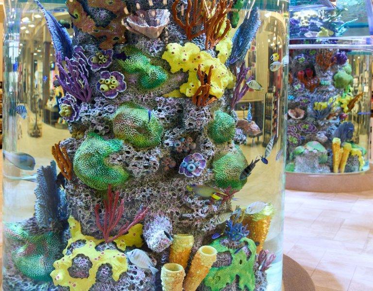 Aquarium